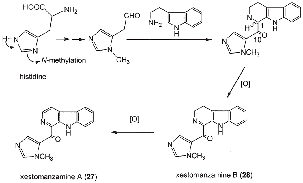 Scheme 13.