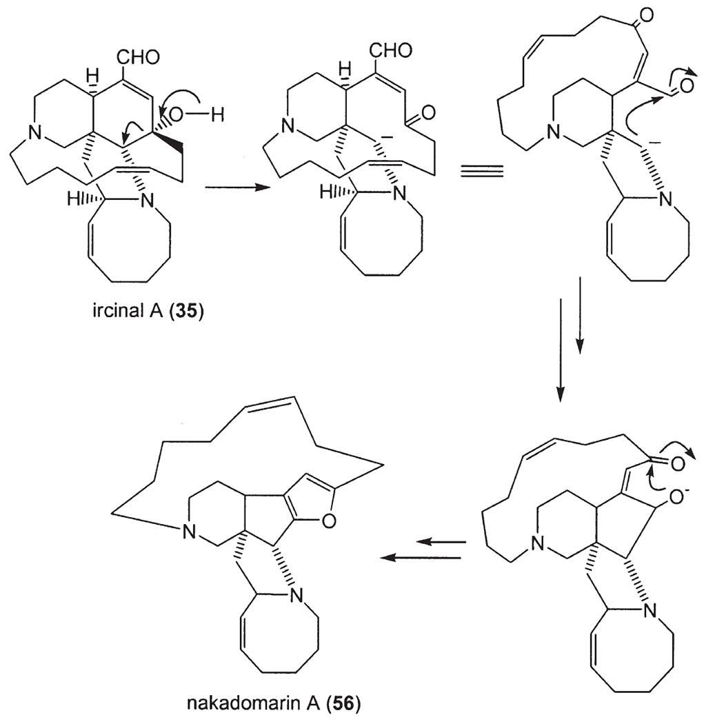 Scheme 4.