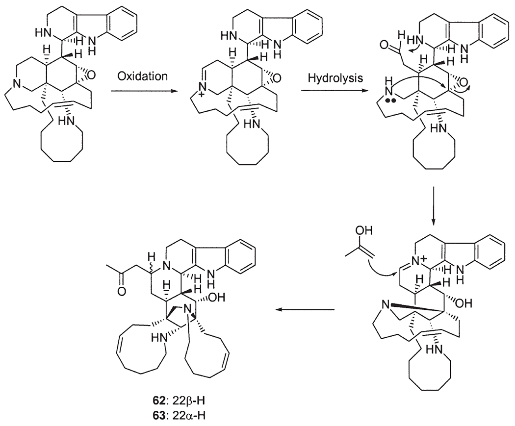 Scheme 6.