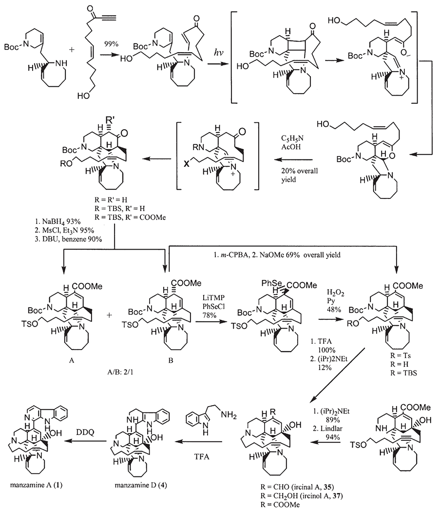 Scheme 10.