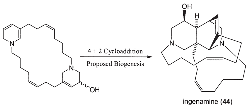 Scheme 3.