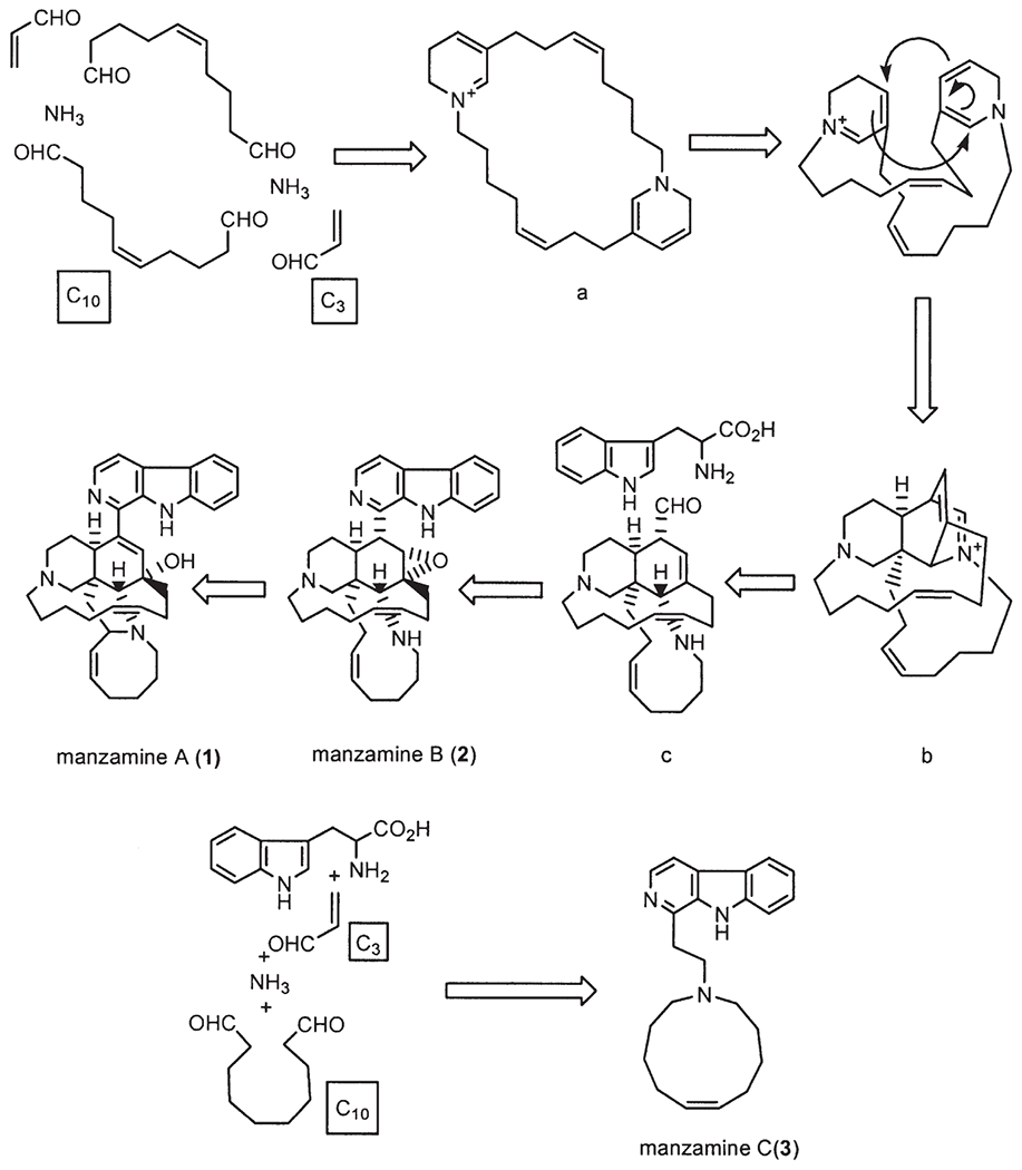 Scheme 1.