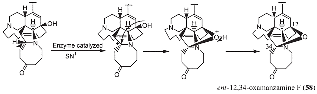 Scheme 5.