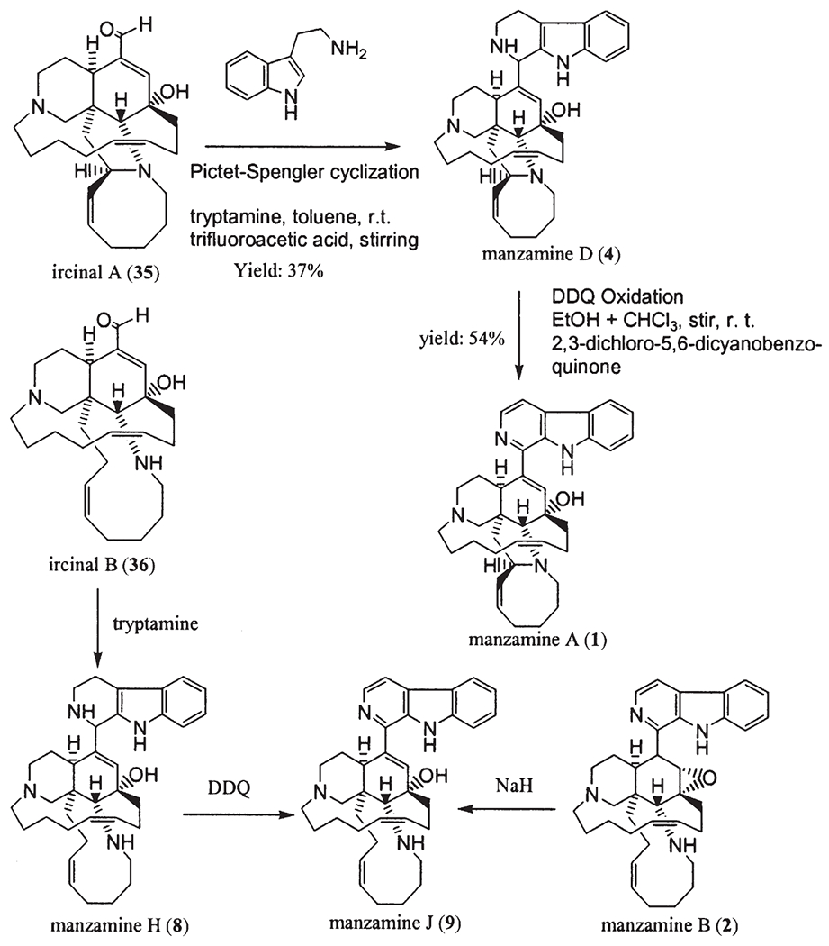 Scheme 11.