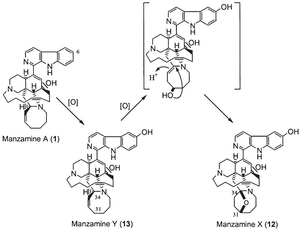 Scheme 12.