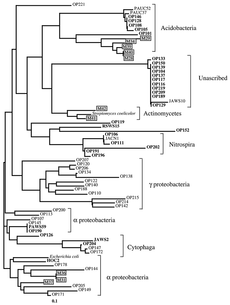 Fig. 5.