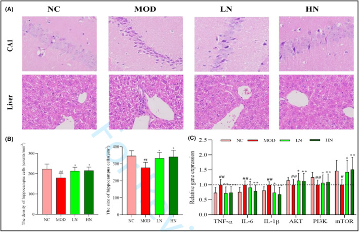 FIGURE 4