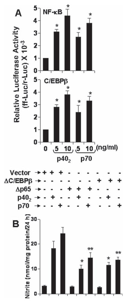 Fig. 8