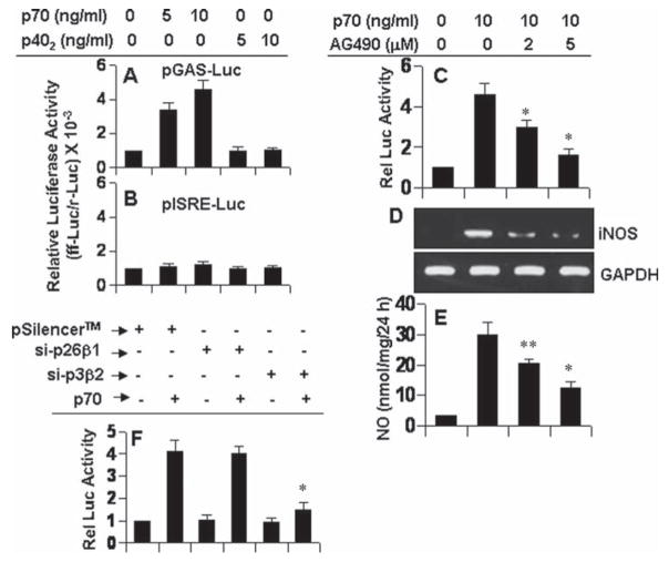 Fig. 11