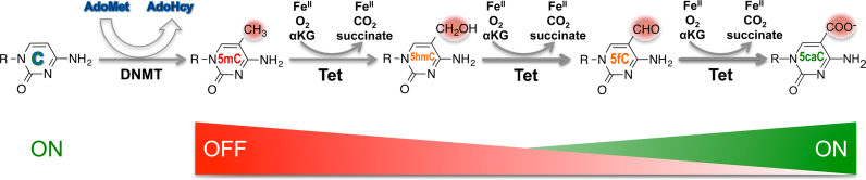 Figure 6.