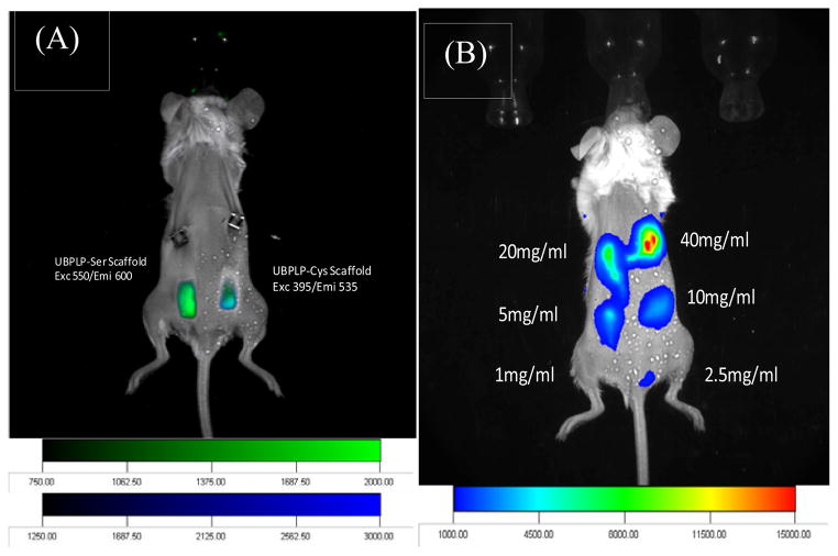 Figure 10