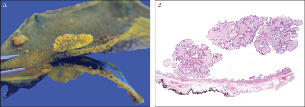 Figure 5: