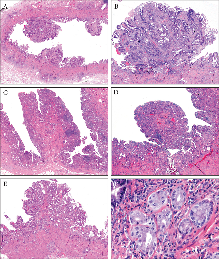 Figure 3: