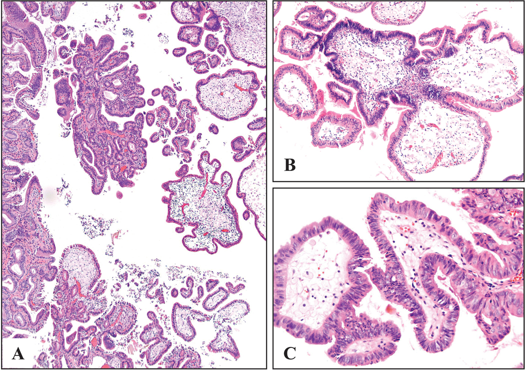 Figure 7: