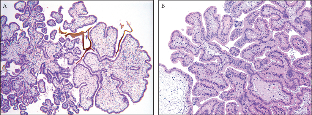 Figure 6: