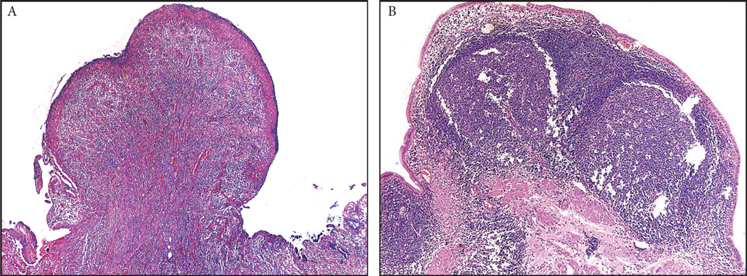 Figure 4: