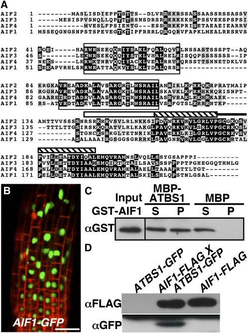 Figure 6.