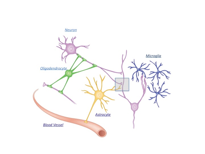 Figure 1: