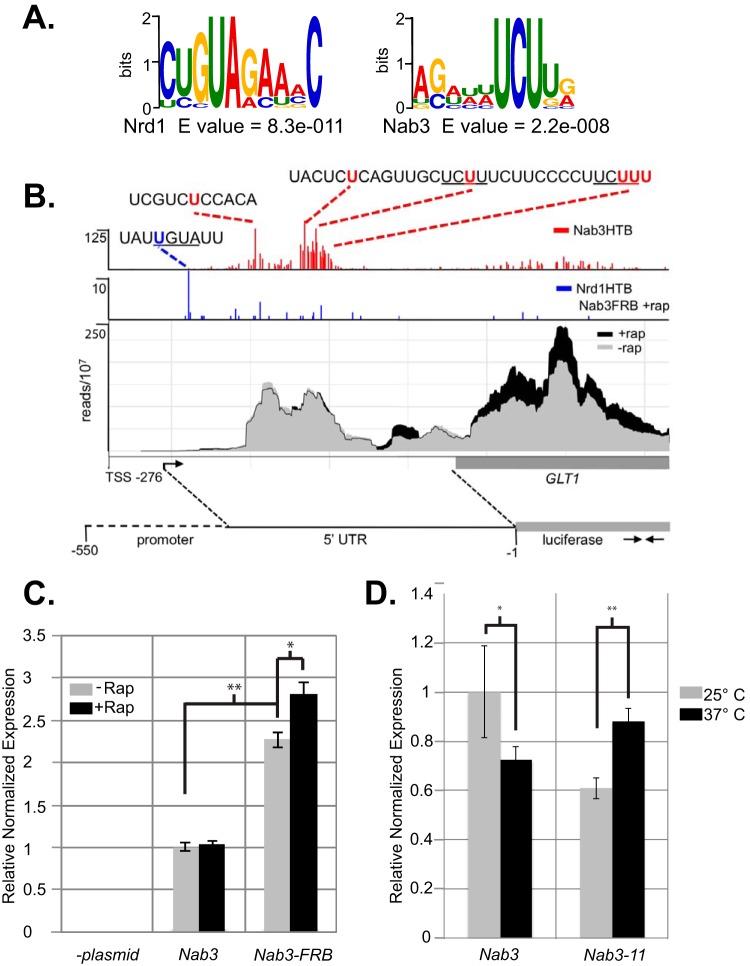 FIG 5