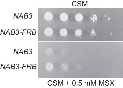 FIG 6