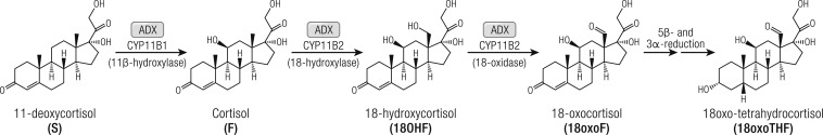 Figure 7.