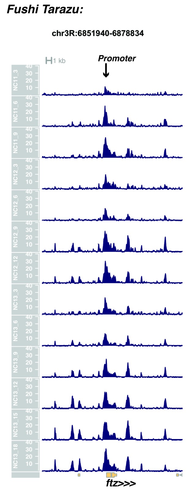 Figure 1—figure supplement 15.