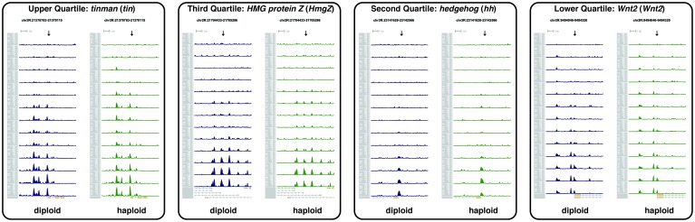 Figure 2—figure supplement 1.