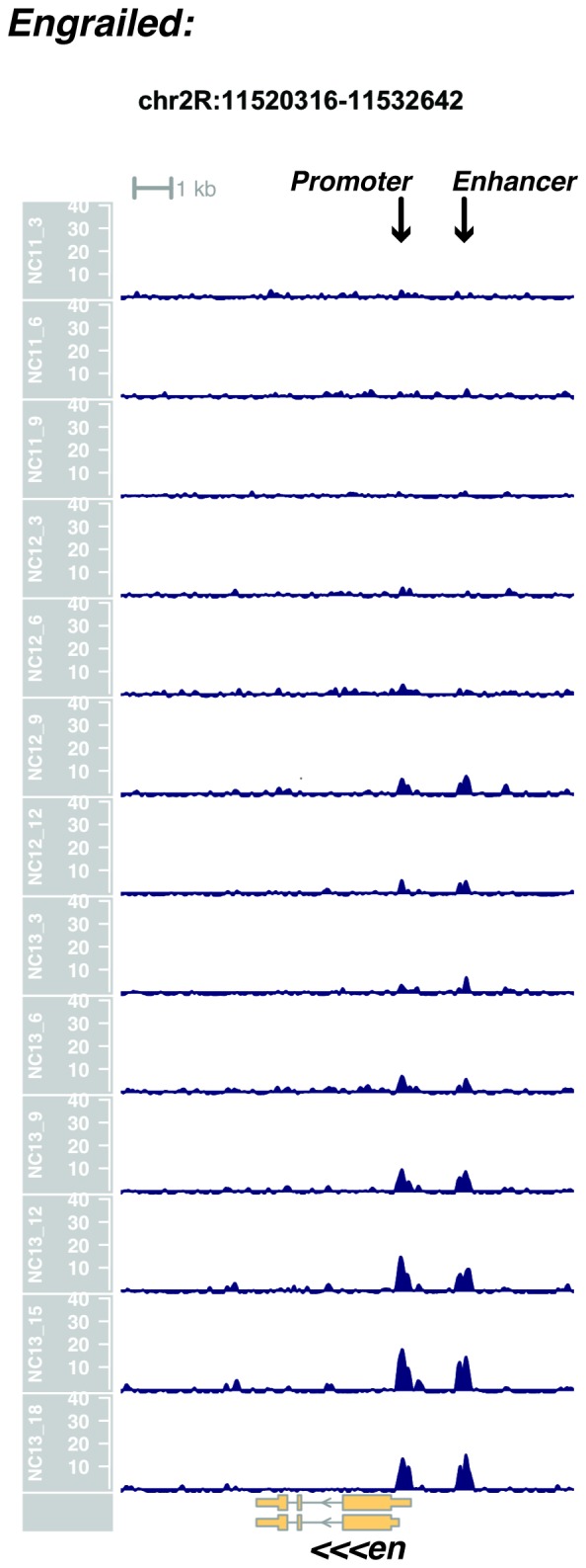 Figure 1—figure supplement 23.