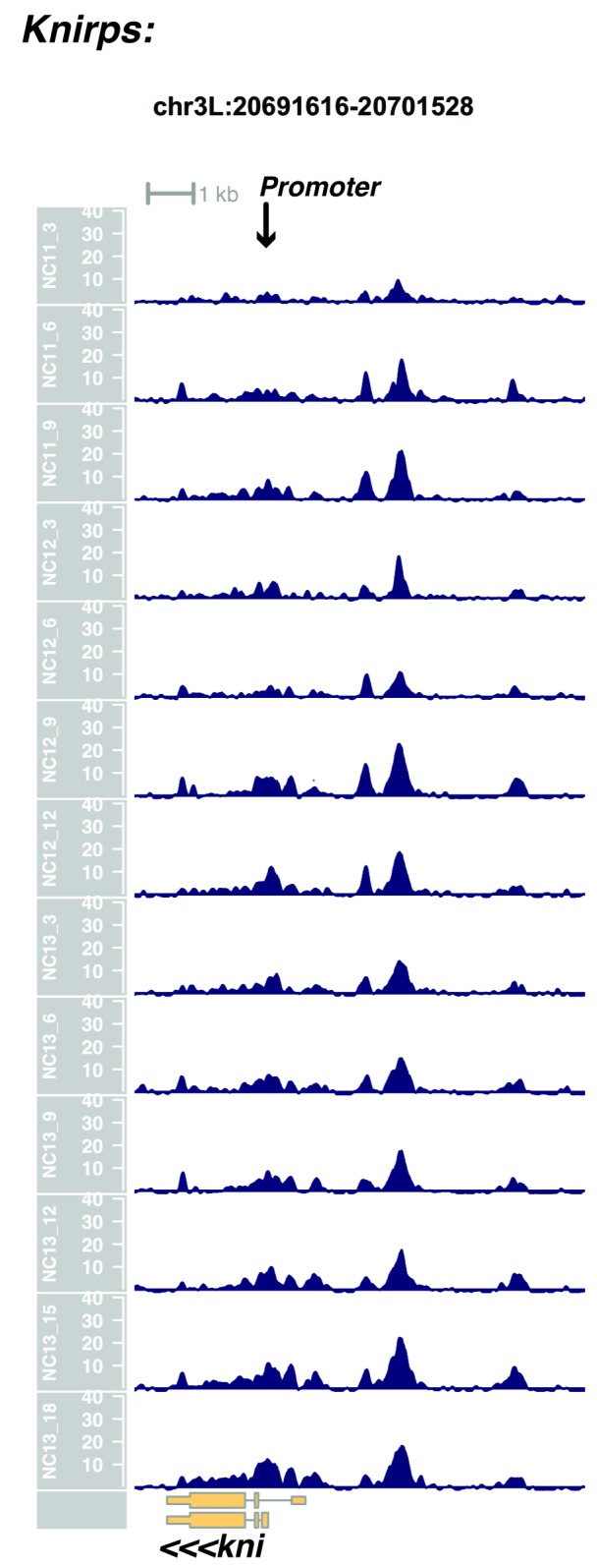 Figure 1—figure supplement 11.