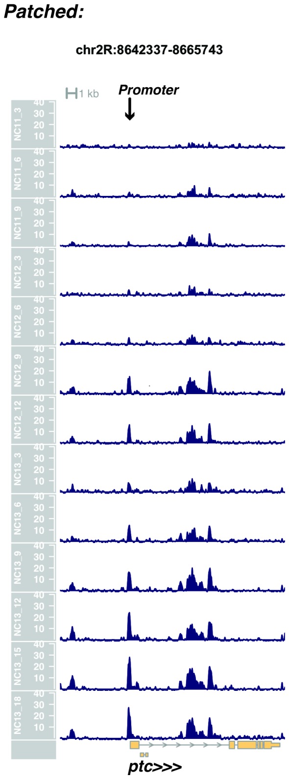 Figure 1—figure supplement 24.