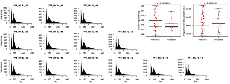 Figure 1—figure supplement 3.