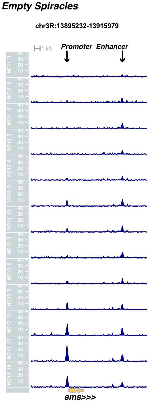 Figure 1—figure supplement 5.