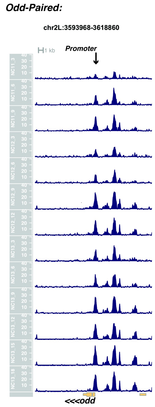 Figure 1—figure supplement 14.