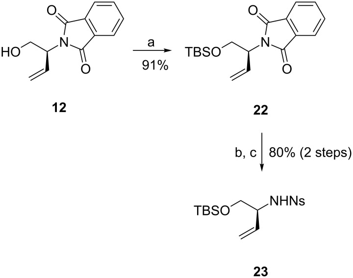 Scheme 5