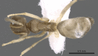 Figure 4b.