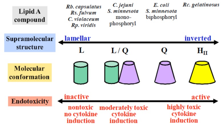 Fig. (21B)