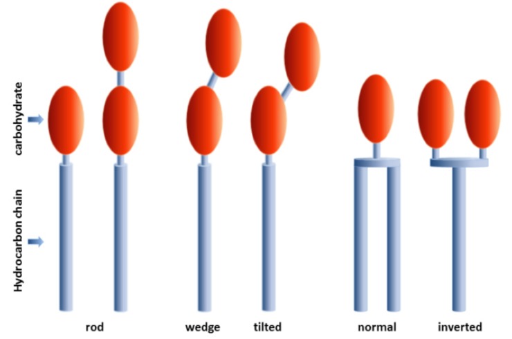 Fig. (1)