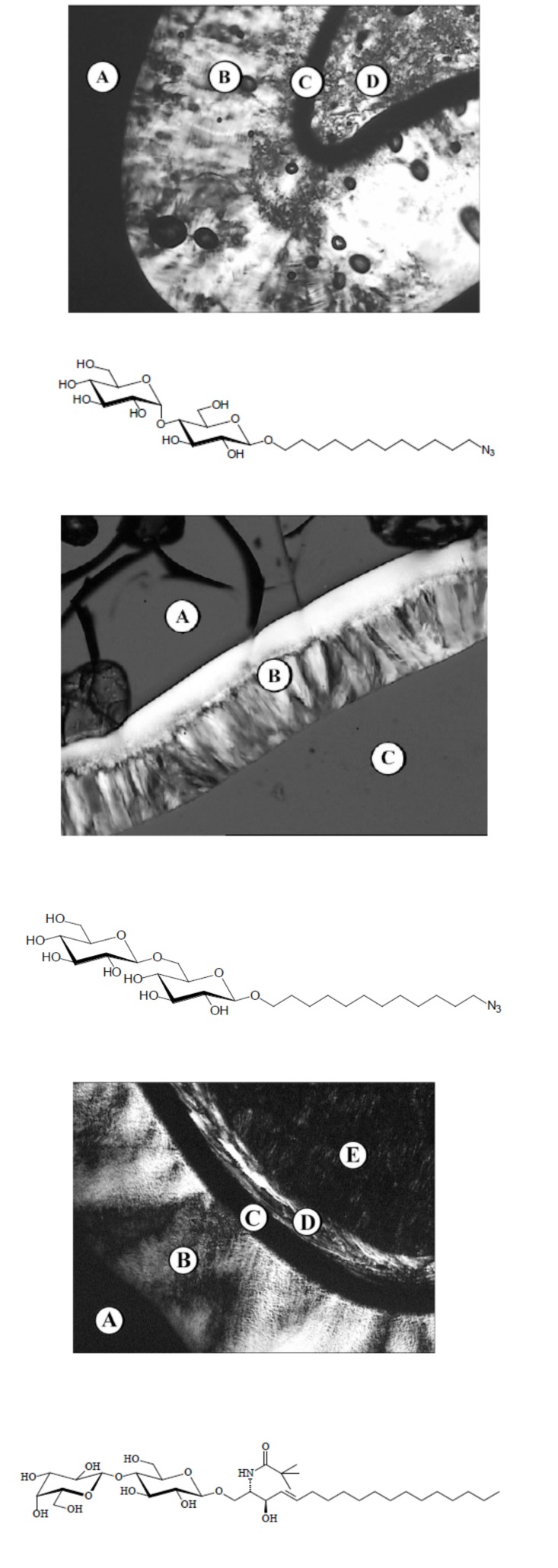 Fig. (10)