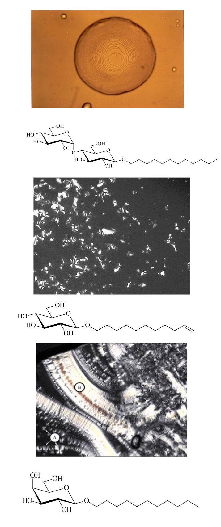 Fig. (7)