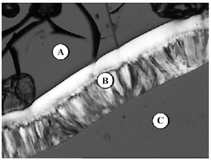 Fig. (10B1)