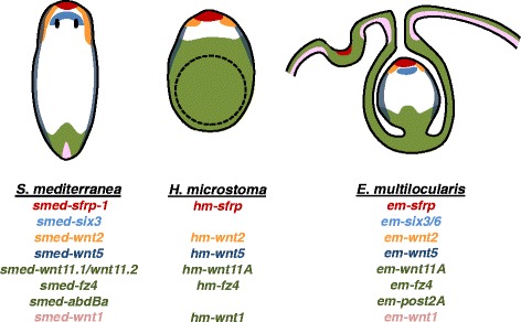 Fig. 9