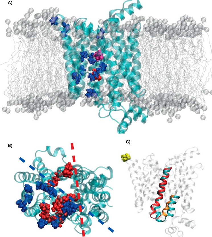 Figure 6.