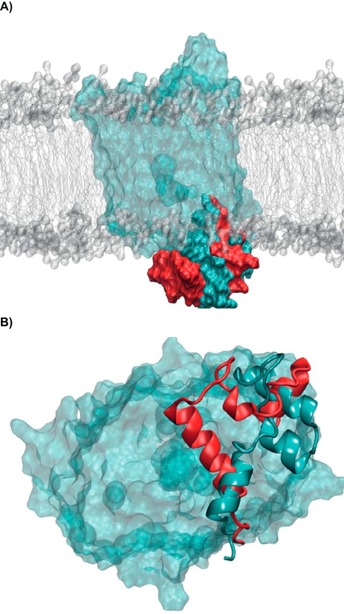 Figure 5.