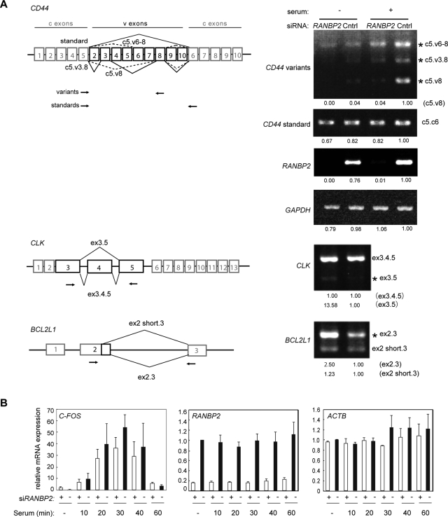 FIGURE 6: