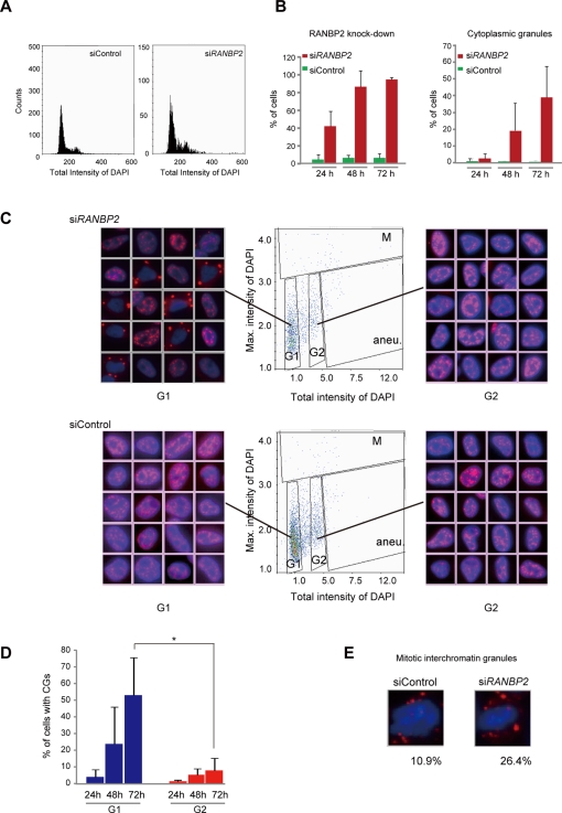 FIGURE 3: