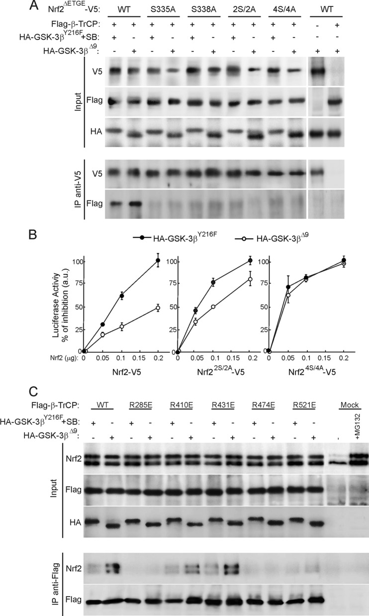 Fig 5