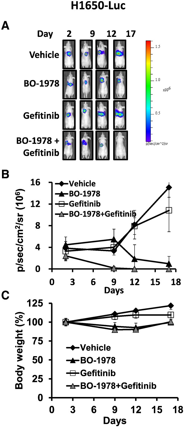 Figure 7