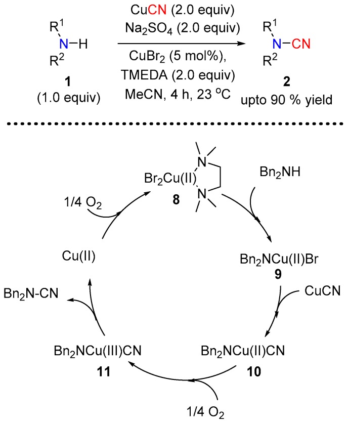 Scheme 4