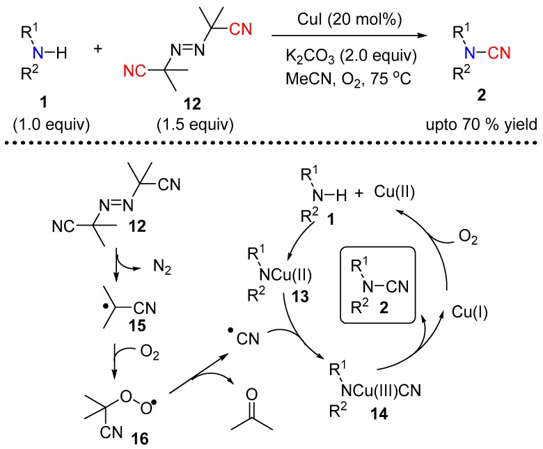 Scheme 5