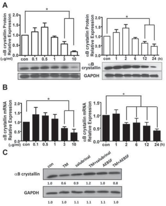 Fig.9